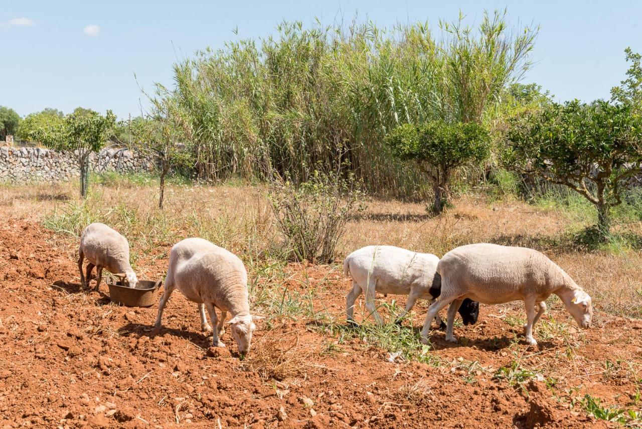 Finca Ca'n Pereta Felanitx Esterno foto